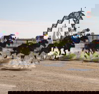 Bedourie Races and Rodeo - Great Ocean Road Tourism