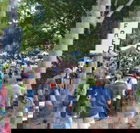 Bellingen Community Markets - Great Ocean Road Tourism