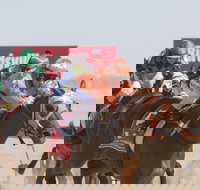 Birdsville Races - Great Ocean Road Tourism