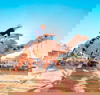 Boulia Camel Races - Great Ocean Road Tourism