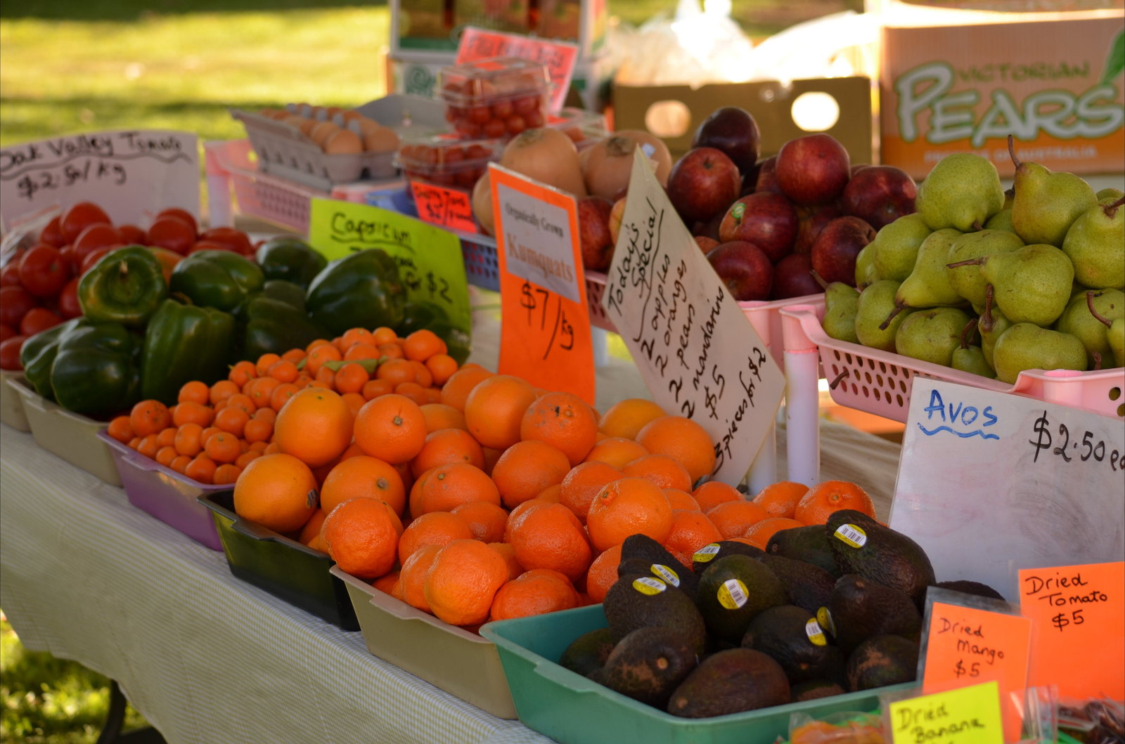 Simmie QLD Great Ocean Road Tourism