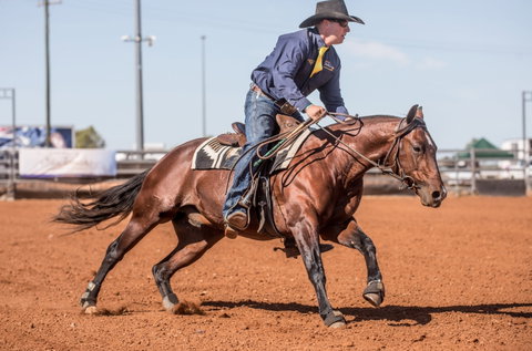 Cloncurry Stockmans Challenge And Campdraft - Great Ocean Road Tourism 1