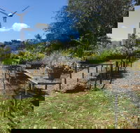 Conservation Volunteers Australia Townsville - Ocean View Nursery - Great Ocean Road Tourism