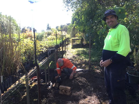 Conservation Volunteers Australia Townsville - Ocean View Nursery - Great Ocean Road Tourism 1