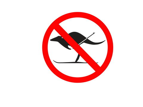 Kangaroo Hoppet - Great Ocean Road Tourism 0