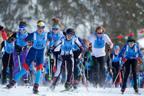 Kangaroo Hoppet - Great Ocean Road Tourism 2