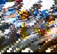 Land Rover Polo in the City Brisbane - Great Ocean Road Tourism