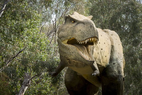 Lost Sanctuary At Healesville Sanctuary - Great Ocean Road Tourism 2