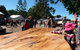Maleny Wood Expo: From Seed To Fine Furniture - thumb 0