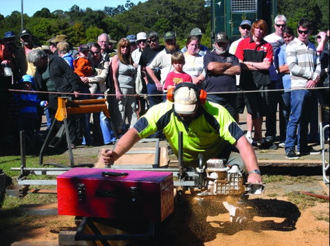 Maleny Wood Expo: From Seed To Fine Furniture - Great Ocean Road Tourism 2