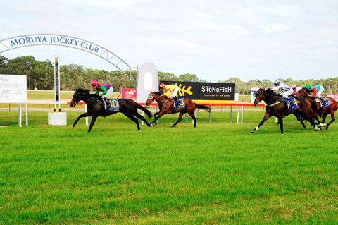 Moruya Cup - Great Ocean Road Tourism 2