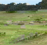Mount Gambier and District Pony Club Horse Trials 2020 - Great Ocean Road Tourism