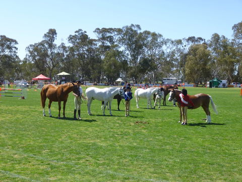 Nathalia Agricultural Show - Great Ocean Road Tourism 2