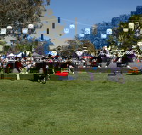 Sakura Matsuri  - Cherry Blossom Festival - in doubt due to Covid-19 - Great Ocean Road Tourism