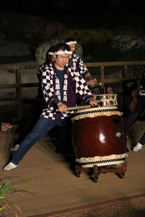 Sakura Matsuri  - Cherry Blossom Festival - In Doubt Due To Covid-19 - Great Ocean Road Tourism 1