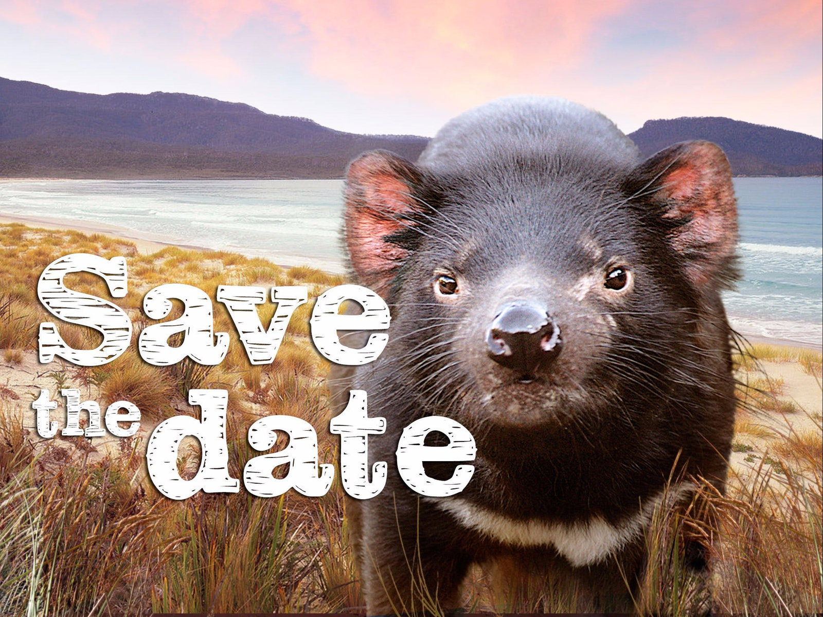 Mount Seymour TAS Great Ocean Road Tourism