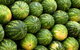 Yeppoon Community Market - thumb 2