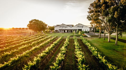 Aged Wine And Vintage Pies - Great Ocean Road Tourism 2
