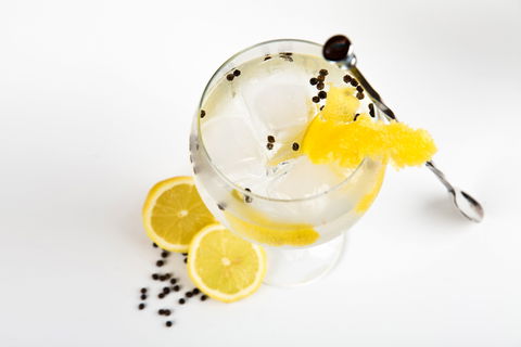Online Live Streaming Class: Make Four Gin Cocktails - Great Ocean Road Tourism 0