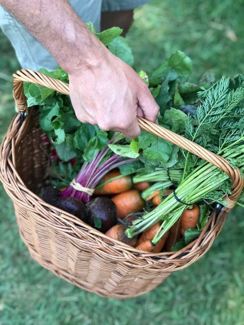 Orange Farmers Market - Great Ocean Road Tourism 0