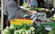 Orange Farmers Market - thumb 1