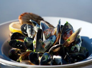 Fratelli Del Mare - Great Ocean Road Tourism 4