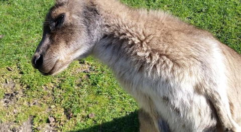 Ningaloo Lodge Exmouth - Great Ocean Road Tourism 2