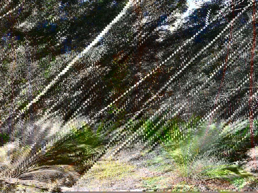  Great Ocean Road Tourism