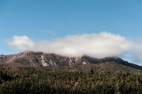 Silver Hills Motel - Great Ocean Road Tourism 4