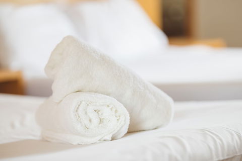Garden Lodge Sydney - Great Ocean Road Tourism 4