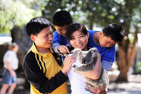 Sand Castles On Currumbin Beach - Great Ocean Road Tourism 4
