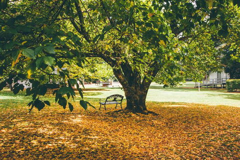 Federation Gardens & Possums Hideaway - Great Ocean Road Tourism 6