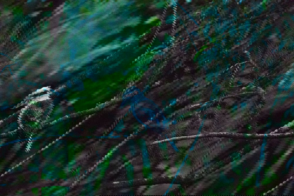  Great Ocean Road Tourism