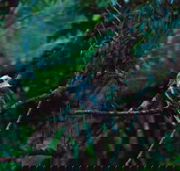 Broken River Mountain Resort - Great Ocean Road Tourism