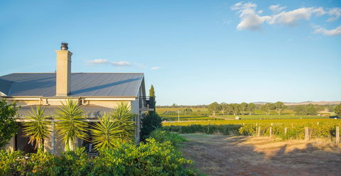 Barossa Shiraz Estate - Great Ocean Road Tourism 0