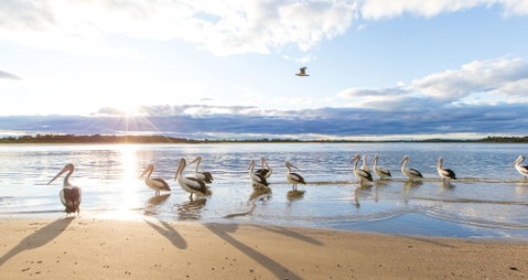 El Paso Motor Inn - Great Ocean Road Tourism 0