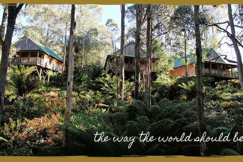 Lemonthyme Wilderness Retreat - Great Ocean Road Tourism 5