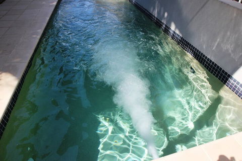 Aston Hill Motor Lodge - Great Ocean Road Tourism 4