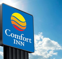 Comfort Hotel Sydney City - Great Ocean Road Tourism