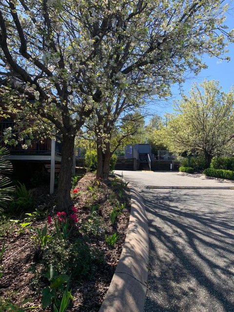 Blazing Stump Motel & Suites - Great Ocean Road Tourism 4