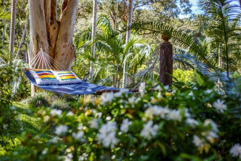 Sensom Luxury Bed & Breakfast - Great Ocean Road Tourism 3