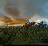 Ocean International - Great Ocean Road Tourism