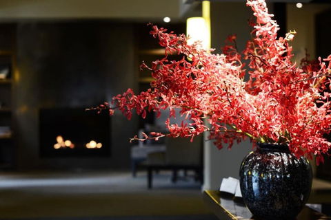 The Lyall Hotel And Spa - Great Ocean Road Tourism 3