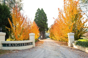 Book Bowral Accommodation Vacations Great Ocean Road Tourism Great Ocean Road Tourism