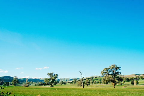 Kimo Estate - Great Ocean Road Tourism 3