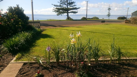 Kirazz - Great Ocean Road Tourism 1