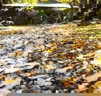 Cradle Forest Inn - Great Ocean Road Tourism