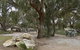 Kangaroo Island Holiday Village - thumb 1