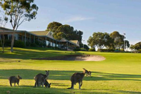 Early Settlers Motel Tocumwal - Great Ocean Road Tourism 6