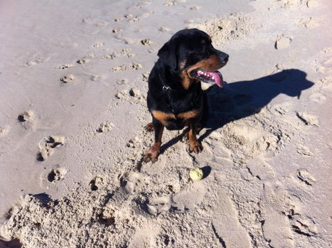 The Beach Townhouse - Great Ocean Road Tourism 1